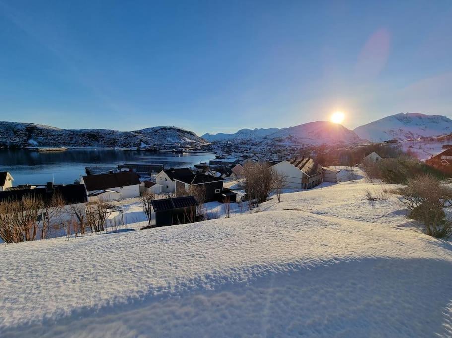 Nice House With A Great View! Skjervoy Eksteriør billede